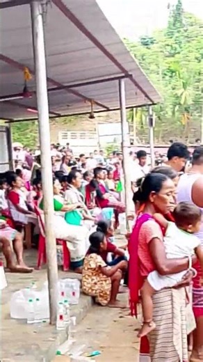 Baba garia puja shorts