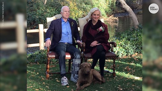 John McCain's beloved dog dies in 'tragic accident'