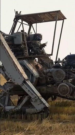 The Rise of Robot Farms: Efficiency Meets Innovation 🌱🤖#RobotFarm