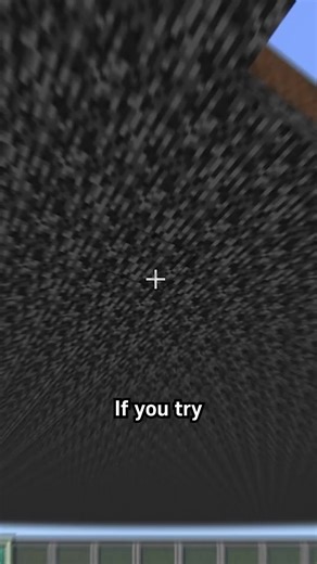 Prism Block on Instagram: "placing blocks in the void #minecraft #minecrafttips"