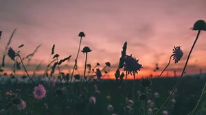 1.8M views · 38K reactions | Joan Sebastian - Y las mariposas | 푹풐풍풊풕풂풔 푪풉풊풅풂풔 푷풂 푳풂 푩풂풏풅풂 | Facebook