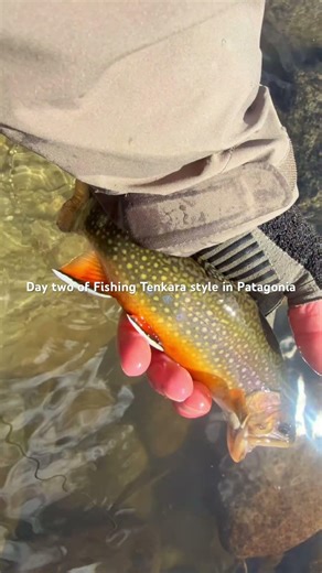 Tenkara in Patagonia