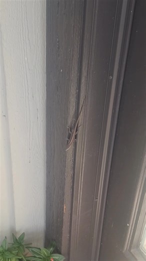 If she hadn't of moved i wouldn't have noticed her lol | Melissa Solomon