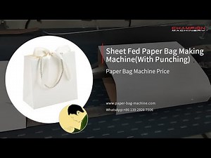 Sheet Fed Paper Bag Making Machine(With Punching)