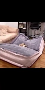 Memes From my BALDCORD - PT1 #memes