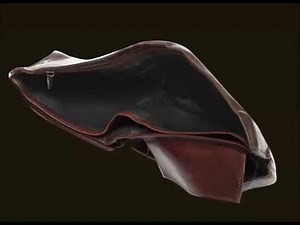 System 44 School Matters