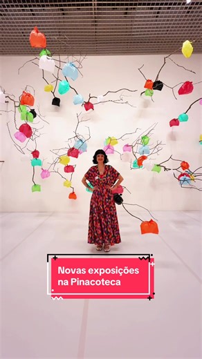 Novas exposições imperdíveis na Pinacoteca de São Paulo