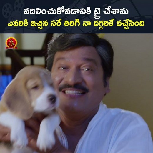 Dogs Love | #Tommy Full Movie On Youtube
