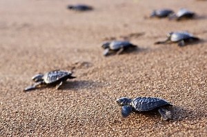 Cyprus in December — Top 9 Things To Do In Cyprus In December