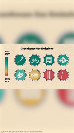 2.5M views · 53K reactions | With bamboo-based products on the rise, we wanted to see how they compared to their plastic and paper counterparts. We went to Taiwan and China for a behind-the-scenes look at how bamboo is turned into cups, lunchboxes, toilet paper, and cutlery — and figured out which of these products have the biggest impact on our environment. | Insider Tech | Facebook