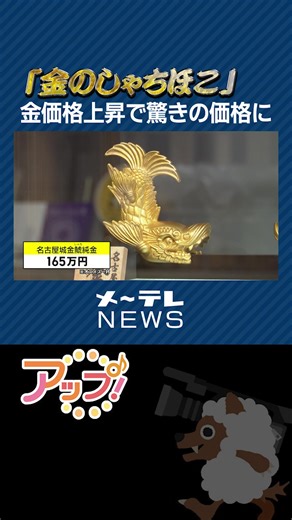 15日から名古屋城の「#金シャチ 横丁」に新しい土産店がオープンしました。名古屋城のシンボル「金の#しゃちほこ 」が、驚きの#値段 で販売されています。