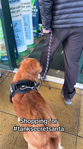 I got to meet lots of new friends and when I went shopping for my secret Santa present. I asked if I could put a rabbit on my Santa list but grandad said no. He is such a grinch. #tanksecretsanta #puppylove #dog #christmas