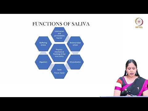Saliva- Composition and functions