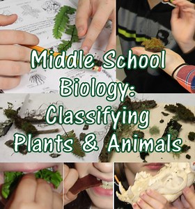 Classifying Plants & Animals: A Christian Middle School Biology STEM Lesson Plan