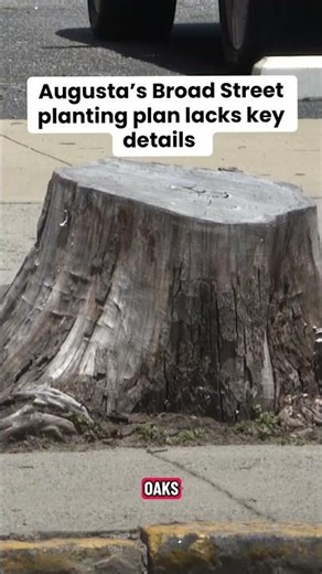 Augusta’s Broad Street planting plan lacks key details