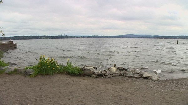 Neighbors demand Seattle take action, claiming 'rampant' public masturbation at Denny Blaine Park