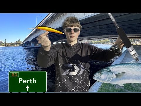 “What 6 hours of fishing in Perth’s Swan River REALLY Looks like…” ( Narrows bridge ) EP-61