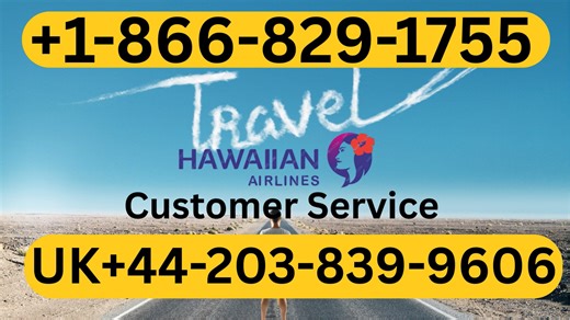 Hawaiian Airlines® Customer Service Guide | Complete Overview of Live Chat, Email & Phone Support
