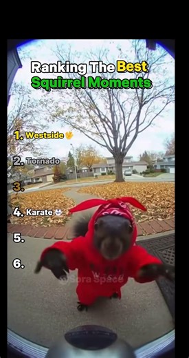 The squirrel really started rapping 😭