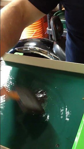 Super-Charge Fine Gold Recovery on Your Miller Table by Adding a Small Amount of Vibration #SHORTS