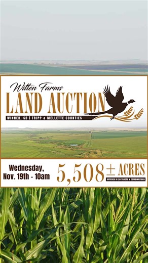 | Auction Alert | Don’t Miss This Rare Opportunity to Own Prime South Dakota Farmland The Witten Farms Auction presents 5,508± acres of exceptionally fertile, well-maintained farmland—paired with some of the finest hunting opportunities in South Dakota’s renowned Golden Triangle. Just outside Winner, South Dakota, this expansive offering includes several contiguous tracts of highly productive farmland, world-class pheasant hunting, and easy access to regional urban centers. Whether you're lookin