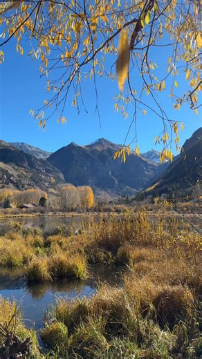 Fall tryin’ to hang on over here 🍂 | Visit Telluride