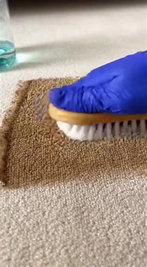 #purepleasure #fyp #satisfying #carpetcleaning #satisfyingvideos
