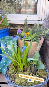 Spring garden pots filled with bulbs and fresh plants bring vibrant color and life to any outdoor or indoor space. Bulbs like tulips, daffodils, and hyacinths bloom beautifully in pots, creating a layered display of early-season flowers. Combining them with fresh plants such as pansies, primroses, and violas ensures continuous blooms as the season progresses. These potted arrangements are perfect for patios, balconies, or doorsteps, adding a cheerful touch to any space. Plus, once the season end