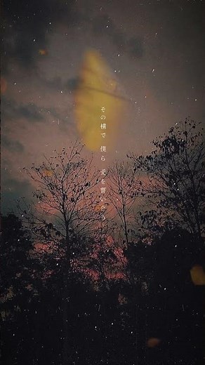 あいとわ #歌詞付き #歌詞動画 #radwimps