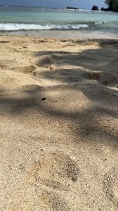 116K views · 153 reactions | We've got everything you need this summer ✨ Discover more here: https://bit.ly/43PxHuj | Primark | Facebook