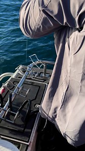 In & out 😬 | Bag out fishing charters