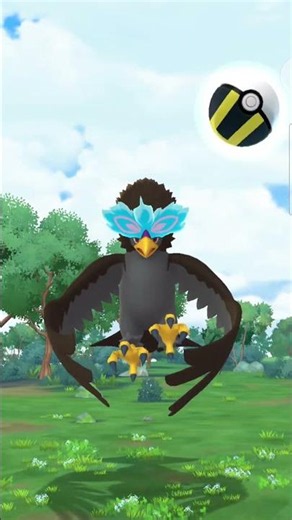 Pokémon GO: Shiny Hisuian Braviary Encounter from May GO Pass!