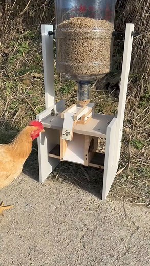 🐓🐓🤗🤗 | AgroTech