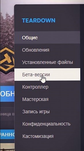 HOW TO PLAY MULTIPLAYER IN TEARDOWN?