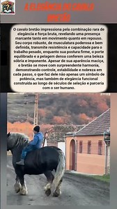 A elegância e força do cavalo bretão #curiosidades
