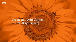 Create and Add Content in D2L Brightspace