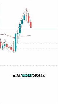 How This Bot Profits Every Time Price Returns to the EMA