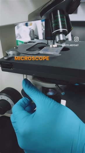 Light changes everything💡Have you tried these 3 quick tips of getting the most optimum light/view for cell counting? Stay tuned for more cell counting tips! | White Labs