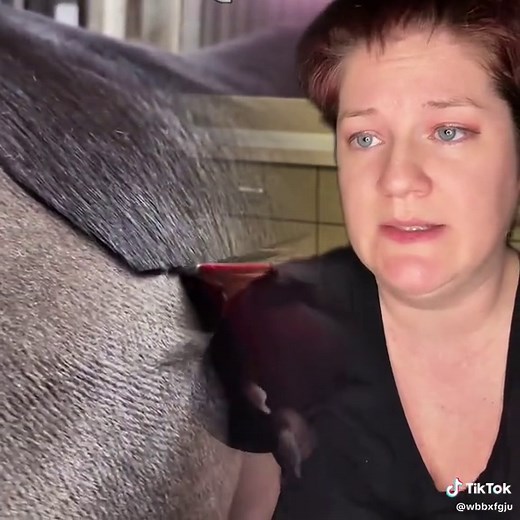 #pov#fyp#foryou#teacher#tiktok#story#school#funny#mathmanx#mamaowl#viral #storytime