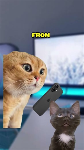 Cats have a Computer Case 😺🖥️ #shorts