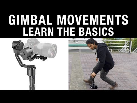 Gimbal Movements: Learn the Basics