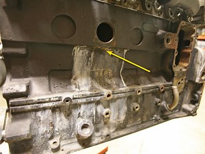 Cummins' Fatal Flaws