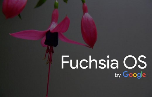 谷歌全新系统 Fuchsia OS！华为、荣耀已开启测试！