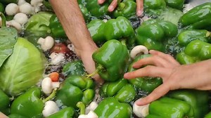 Golden and Crunchy Veg Spring Rolls | Easy Homemade Recipe