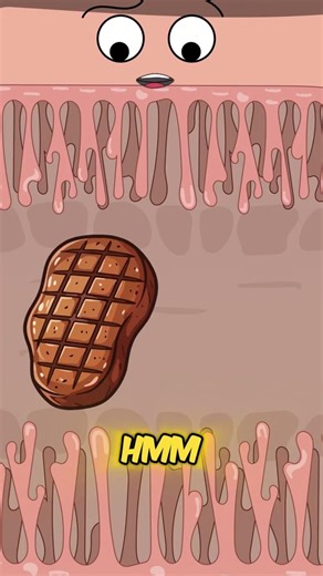 Why Your Intestines Are Clogged With Undigested Meat? 🥩🚫 #shorts