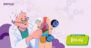 Konsep Enzim, Struktur, Sifat, Cara Kerja, dan Fungsinya - Materi BIologi kelas 12