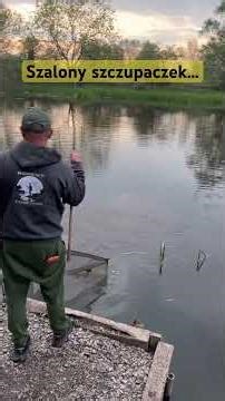 Szalony szczupaczek… #wędkarstwo #fishing #spining