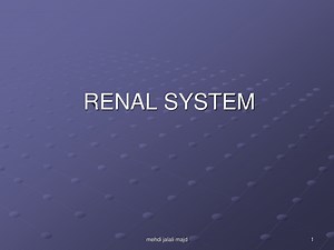 RENAL SYSTEM - SlideServe