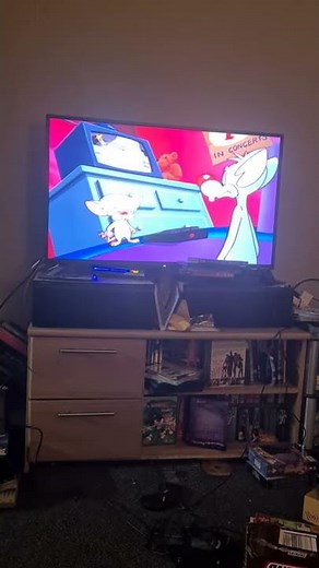 Pinky. Elmyra and the brain dvd