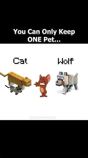 Minecraft Players Must Choose ONE… Cat 🐱 or Wolf 🐺?